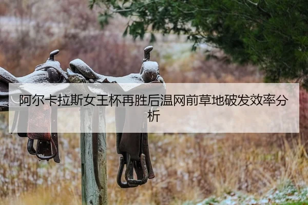 a-er-ka-la-si-nv-wang-bei-zai-sheng-hou-wen-wang-qian-cao-di-po-fa-xiao-lv-fen-xi-2-204.jpg