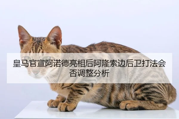 皇马官宣阿诺德亮相后阿隆索边后卫打法会否调整分析