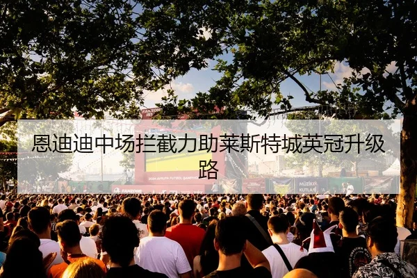 恩迪迪中场拦截力助莱斯特城英冠升级路