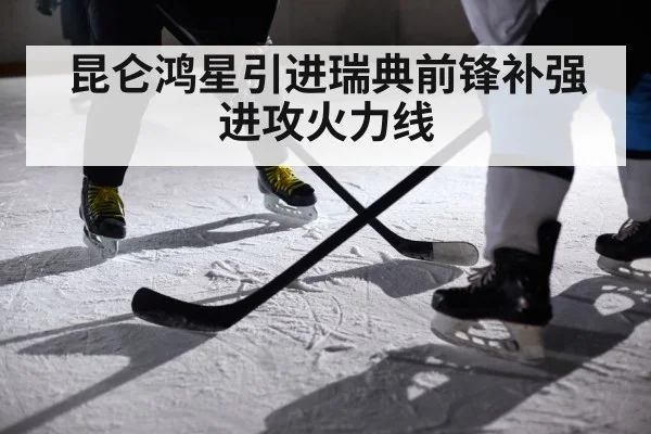 昆仑鸿星引进瑞典前锋补强进攻火力线
